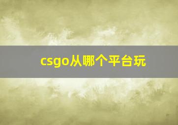 csgo从哪个平台玩