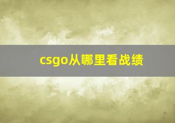 csgo从哪里看战绩