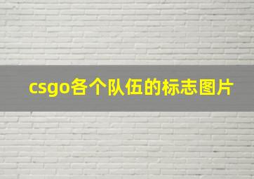 csgo各个队伍的标志图片