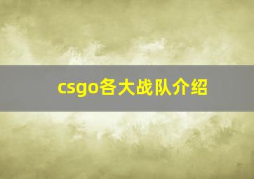 csgo各大战队介绍