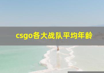 csgo各大战队平均年龄