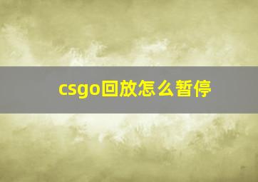 csgo回放怎么暂停