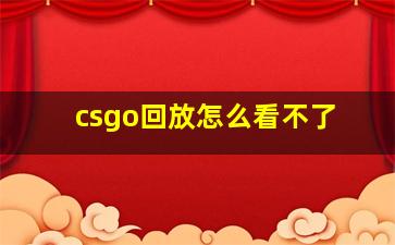 csgo回放怎么看不了