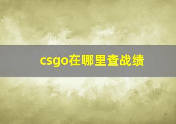 csgo在哪里查战绩