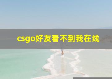 csgo好友看不到我在线