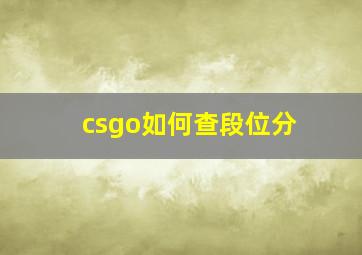 csgo如何查段位分