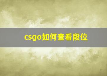 csgo如何查看段位