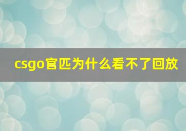 csgo官匹为什么看不了回放