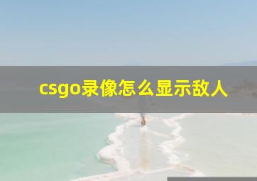 csgo录像怎么显示敌人