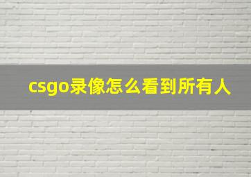 csgo录像怎么看到所有人