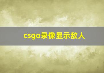 csgo录像显示敌人