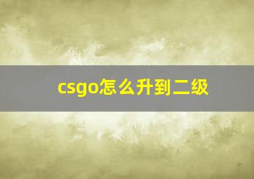 csgo怎么升到二级