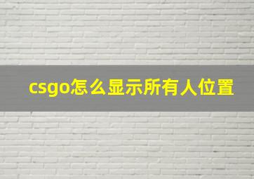 csgo怎么显示所有人位置