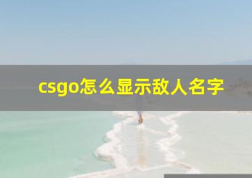 csgo怎么显示敌人名字