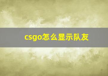 csgo怎么显示队友