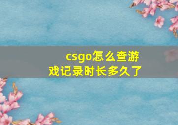 csgo怎么查游戏记录时长多久了