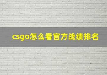 csgo怎么看官方战绩排名