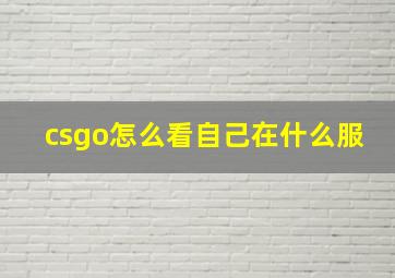 csgo怎么看自己在什么服