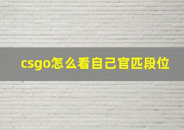 csgo怎么看自己官匹段位