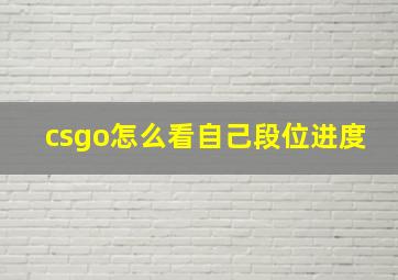 csgo怎么看自己段位进度