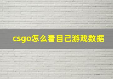 csgo怎么看自己游戏数据