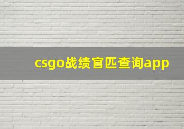 csgo战绩官匹查询app