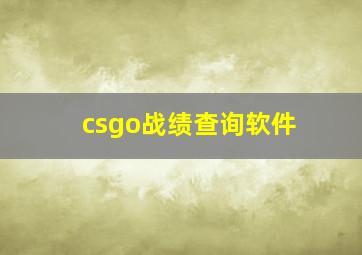 csgo战绩查询软件