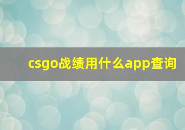 csgo战绩用什么app查询