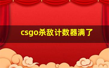 csgo杀敌计数器满了