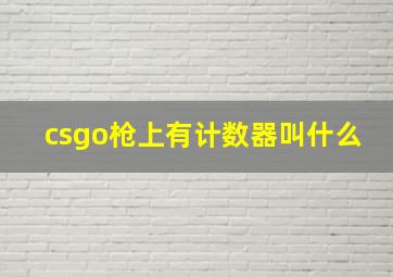 csgo枪上有计数器叫什么