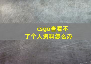 csgo查看不了个人资料怎么办