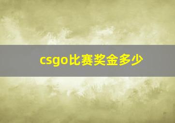 csgo比赛奖金多少