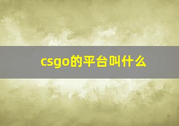 csgo的平台叫什么