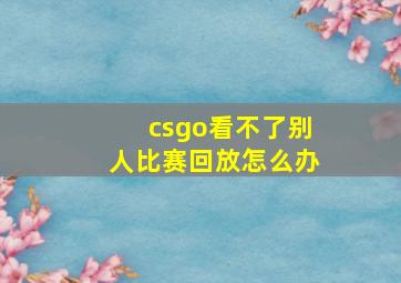 csgo看不了别人比赛回放怎么办