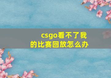 csgo看不了我的比赛回放怎么办