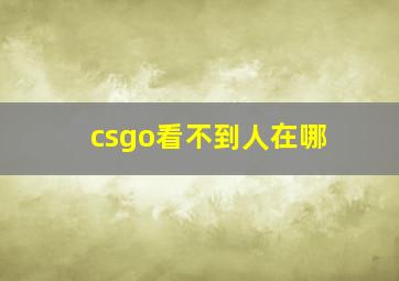 csgo看不到人在哪