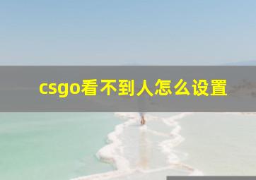 csgo看不到人怎么设置