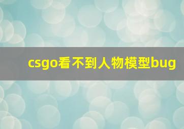 csgo看不到人物模型bug