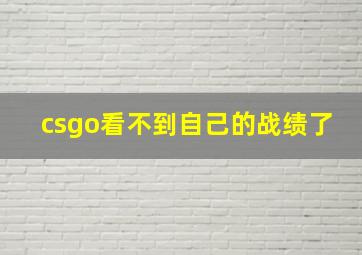 csgo看不到自己的战绩了