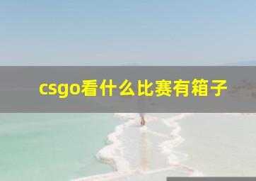 csgo看什么比赛有箱子