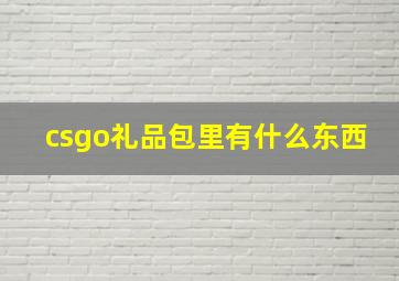 csgo礼品包里有什么东西