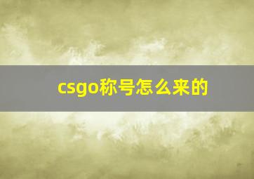 csgo称号怎么来的