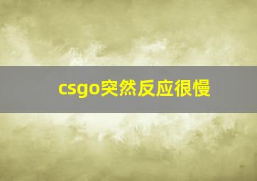 csgo突然反应很慢