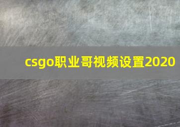 csgo职业哥视频设置2020