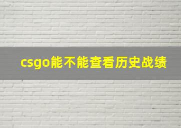 csgo能不能查看历史战绩