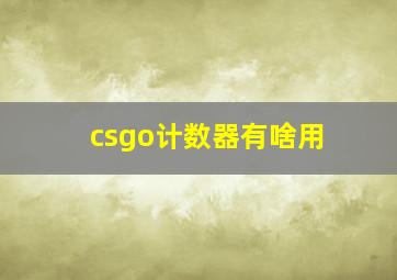 csgo计数器有啥用