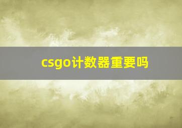 csgo计数器重要吗