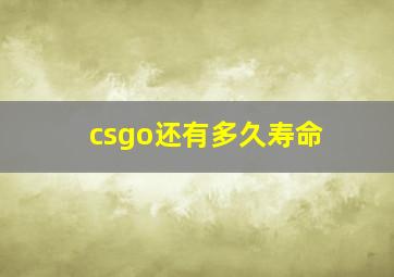 csgo还有多久寿命