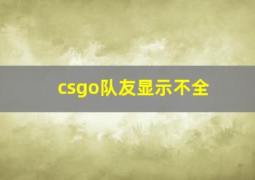 csgo队友显示不全