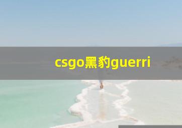 csgo黑豹guerri